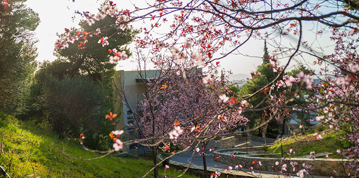 Explore the Ceree Campus!